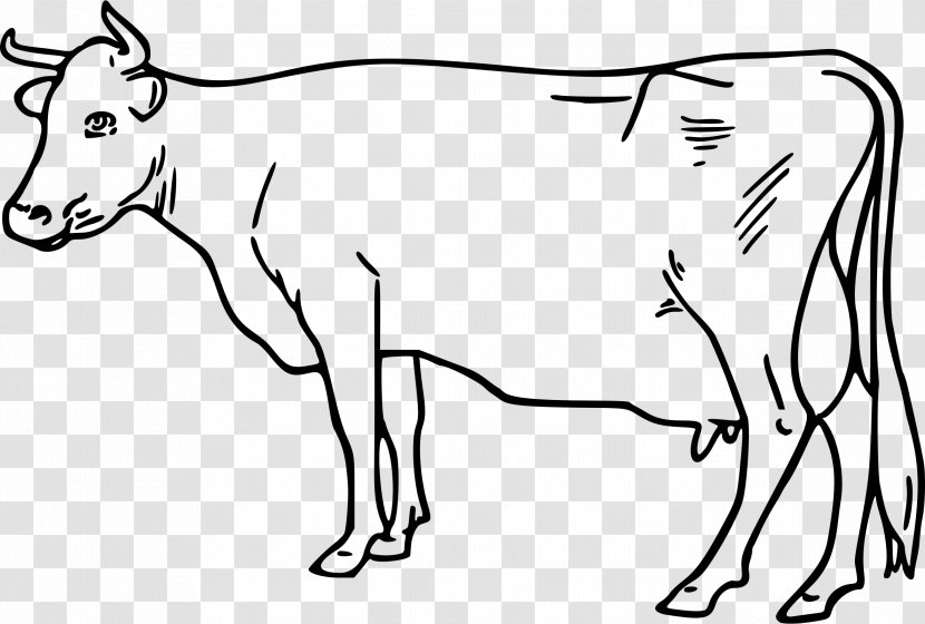 Ayrshire Cattle Drawing Clip Art - White - Clarabelle Cow Transparent PNG