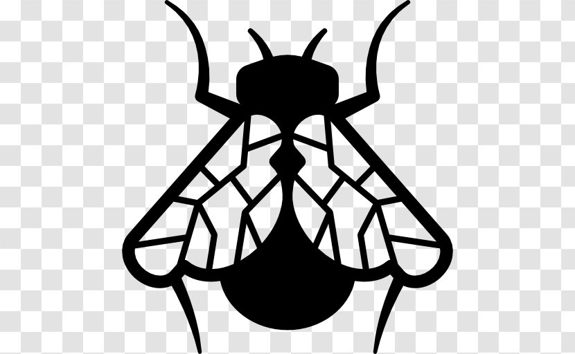 Insect Fly Clip Art - Animal Transparent PNG
