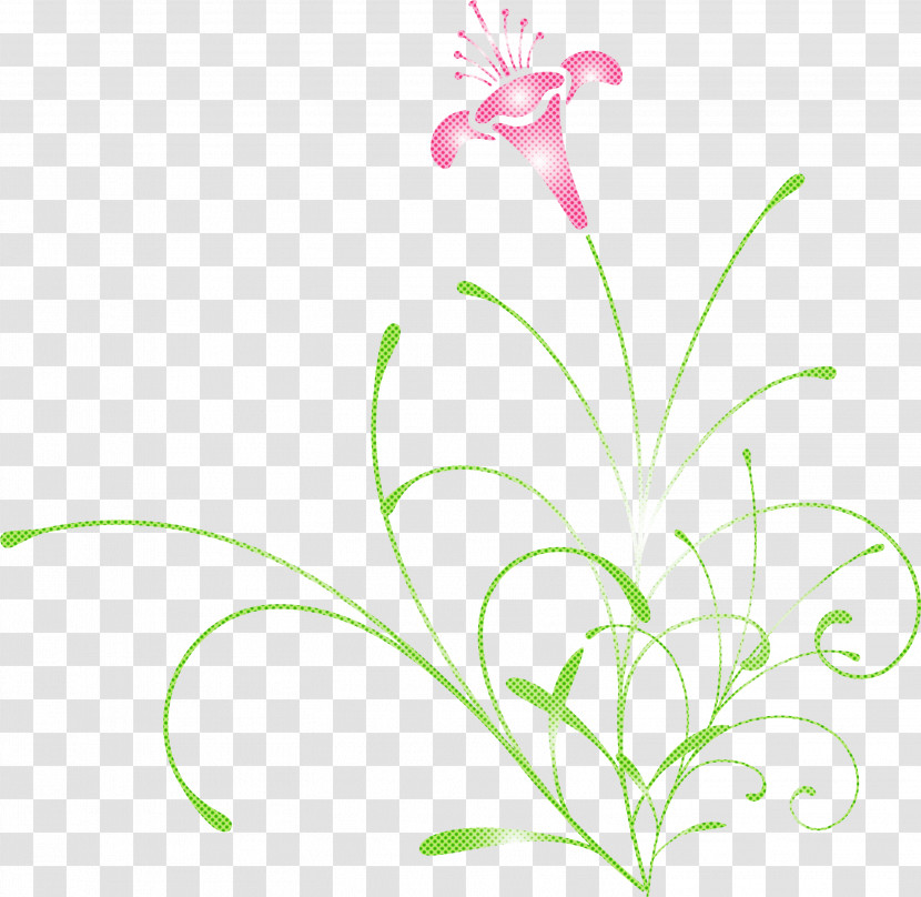 Easter Flower Spring Flower Transparent PNG