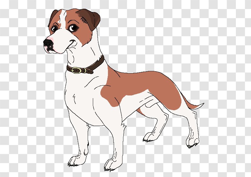 English Foxhound Harrier American Canidae Dog Breed - Paw - Witness Of Love Transparent PNG