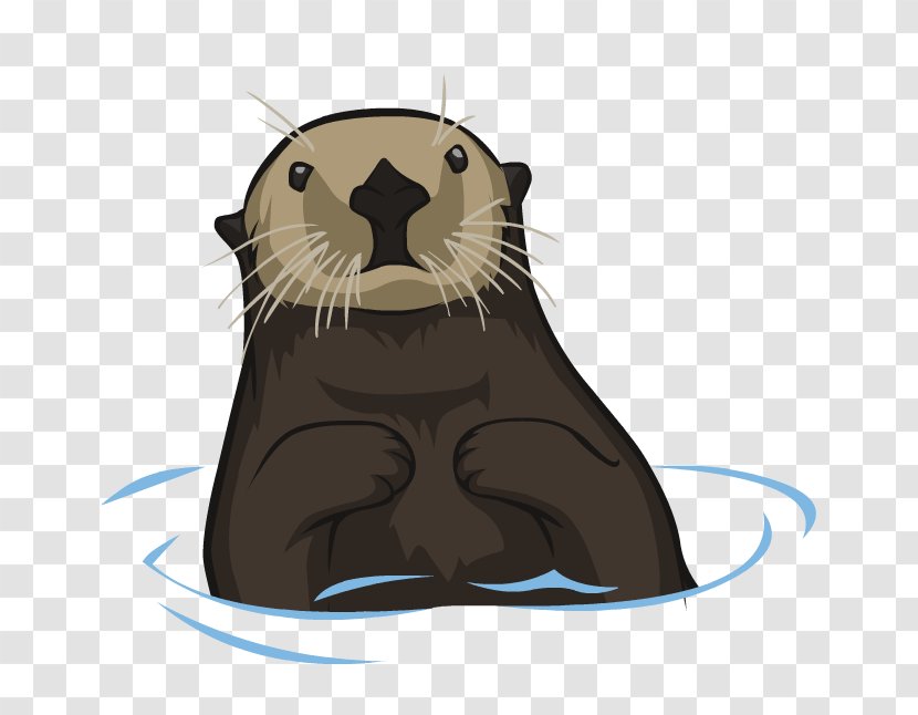 Whiskers Sea Otter - Rodent - Beaver Transparent PNG