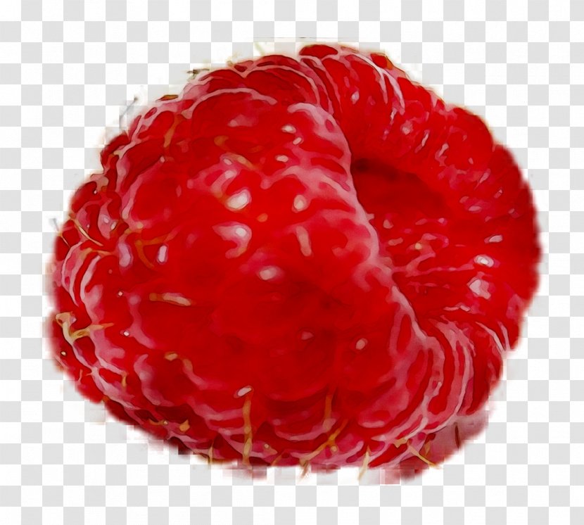 Berries Cranberry Fruit Raspberry Pi Transparent PNG