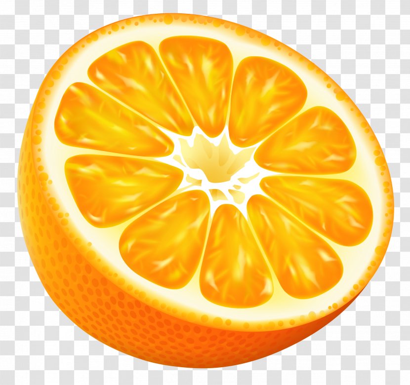 Orange Juice Tangerine Clip Art - Half Vector Clipart Image Transparent PNG