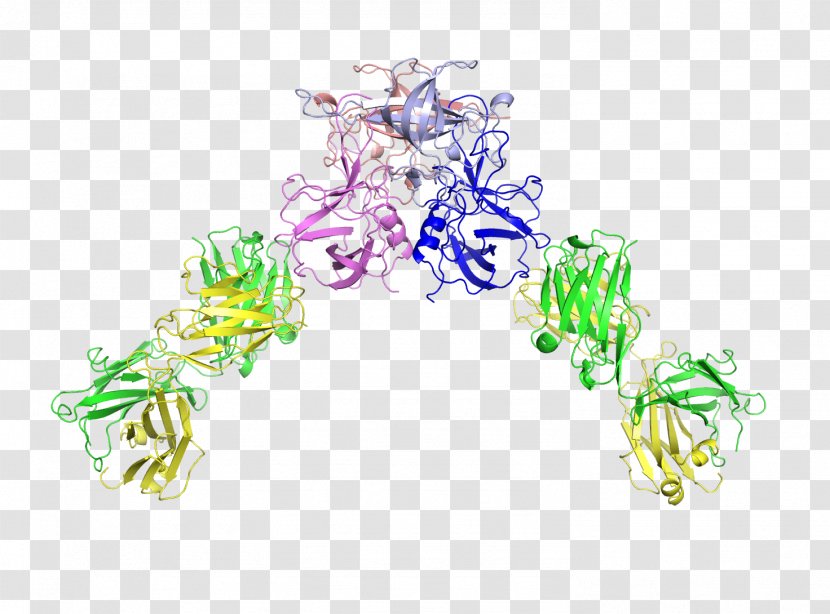 Yokohama City University Structure Of Texas At Austin Subdomain Structural Biology - Sequence Alignment - Sterilized Virus Antibody Transparent PNG