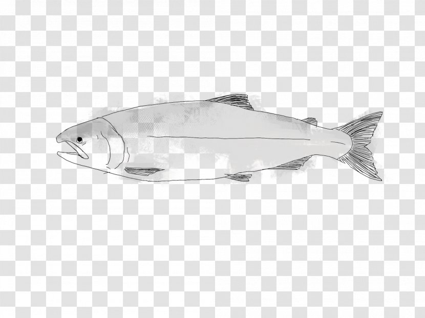 Fish Coho Salmon Seafood As Food - Watercolor Transparent PNG