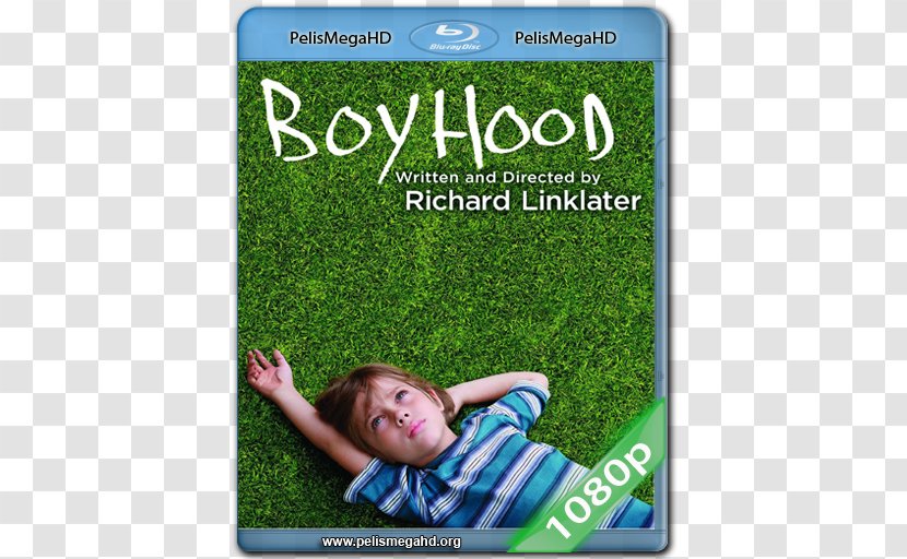 Boyhood Blu-ray Disc Richard Linklater Film Cinema - Grass - Chapmanleonard Studio Equipment Transparent PNG