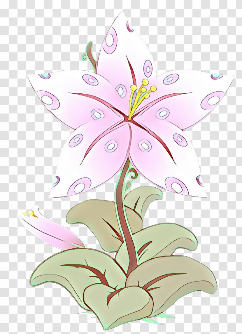Flower Plant Pink Lily Petal Transparent PNG