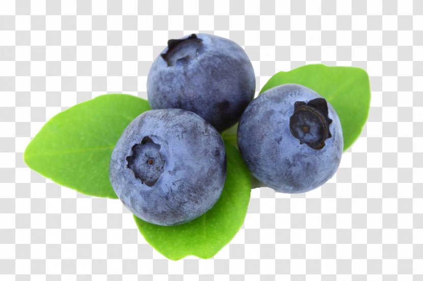 Blueberry Juice Berries Food Tea - Berry Transparent PNG