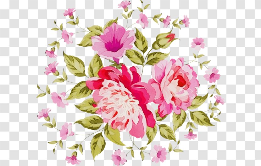 Watercolor Pink Flowers - Family - Prickly Rose Transparent PNG
