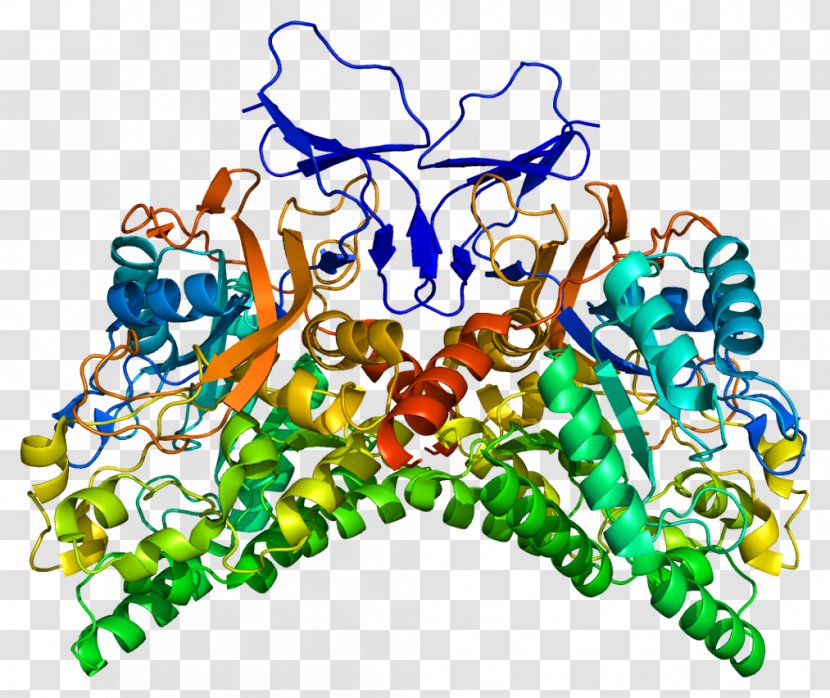 Collapsin Response Mediator Protein Family Lacosamide CRMP1 Gene - Structure - Symmetry Transparent PNG
