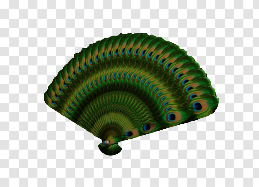 Japan Hand Fan 3D Modeling Peafowl - Wavefront Obj File - Japanese Green Peacock Transparent PNG