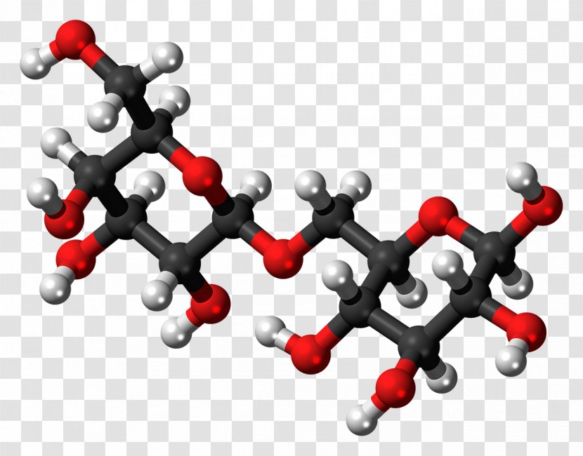 Allolactose Disaccharide Glycosidic Bond Monosaccharide Galactose - Cartoon - DNA-molecule Transparent PNG