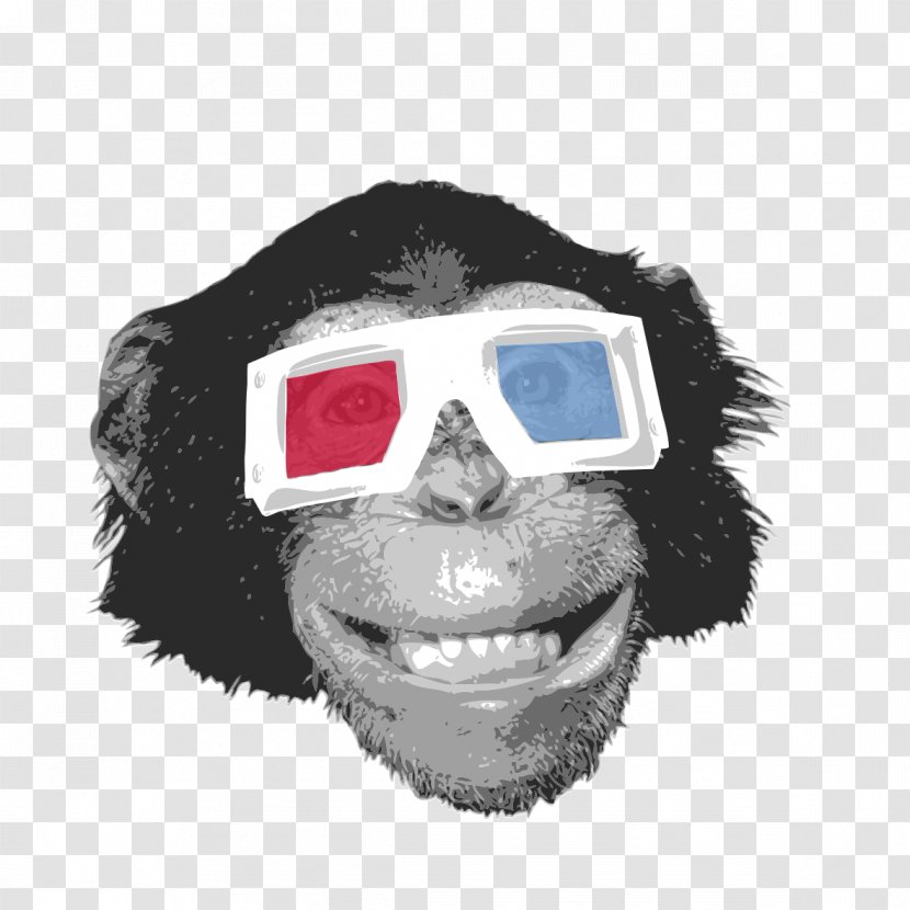 Glasses Orangutan Chimpanzee Monkey Ape - Gorilla With Eye Transparent PNG