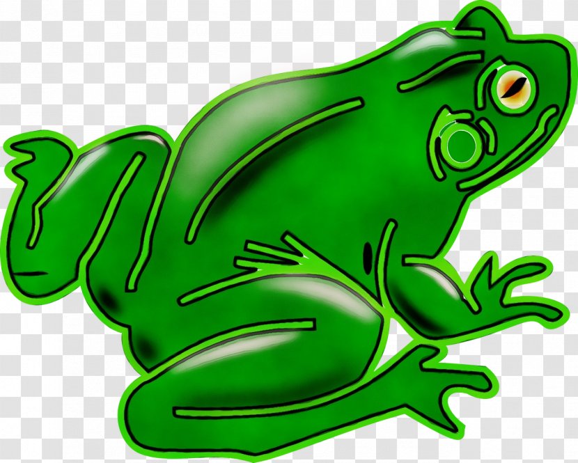 Watercolor Tree - Agalychnis - Poison Dart Frog Transparent PNG