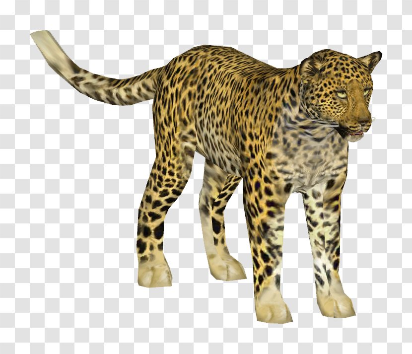 Indian Leopard Cheetah African Jaguar Ocelot Transparent PNG