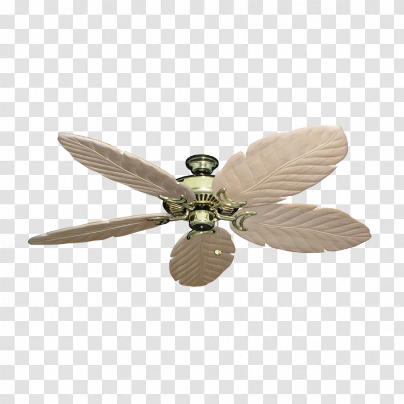Ceiling Fans Blade Minka-Aire Artemis F803 - Insect - Fan Transparent PNG