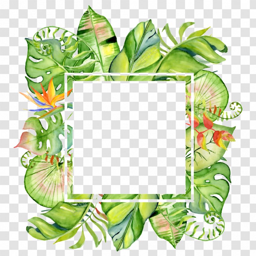 Vector Graphics Royalty-free Leaf Decorative Arts Picture Frames - Floral Design Transparent PNG