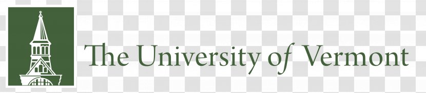 University Of Vermont Texas At Austin College Education - Energy - Student Transparent PNG