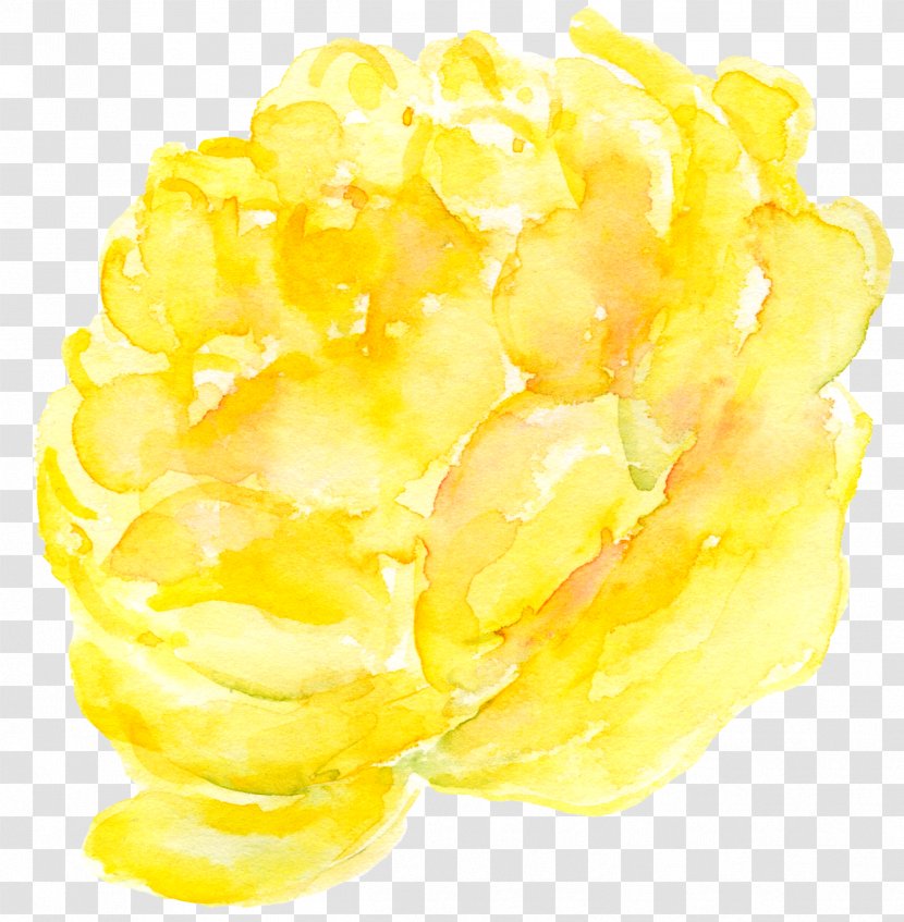 Yellow Clip Art - Food - Peony Flower Painted Transparent PNG