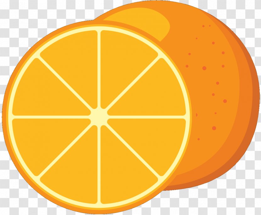 Logo Vector Graphics Illustration Stock Photography Royalty-free - Citrus Transparent PNG