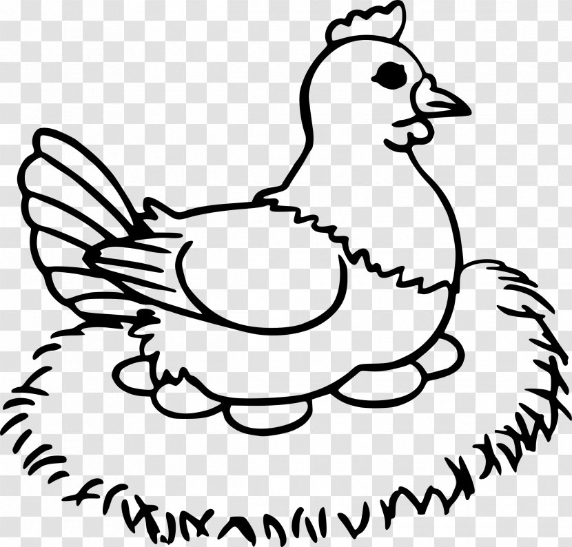Chicken Coloring Book Clip Art Rooster Egg - Chick File Transparent PNG