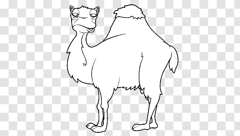 Coloring Book Drawing Image Dromedary - Page Transparent PNG