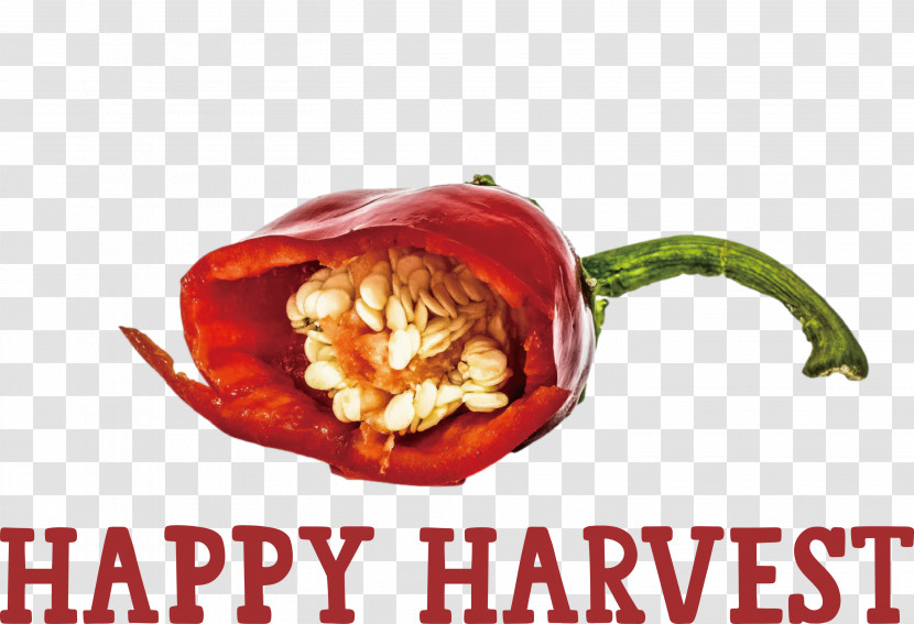 Happy Harvest Harvest Time Transparent PNG