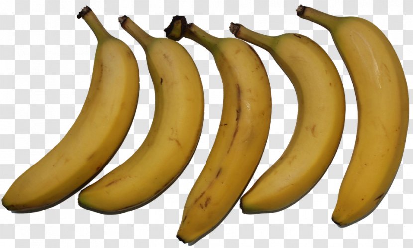 Saba Banana Image Stock.xchng - Yellow Transparent PNG