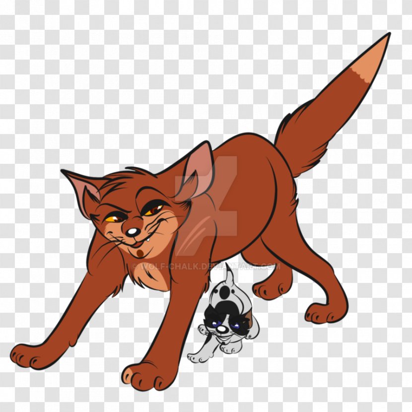 Whiskers Kitten Red Fox Cat - Carnivoran Transparent PNG