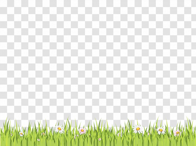 Family Tree Background - Landscape - Prairie Grass Transparent PNG