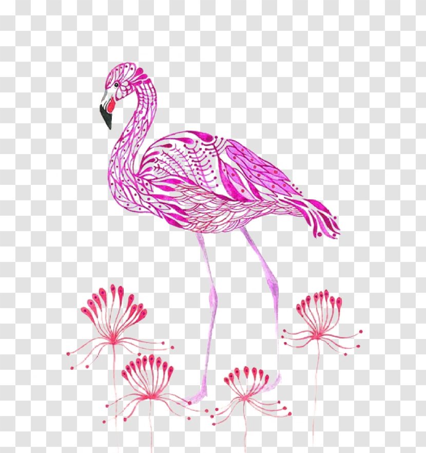 Flamingos Olya, Russia Bird Watercolor Painting Illustration - Purple Flamingo Transparent PNG