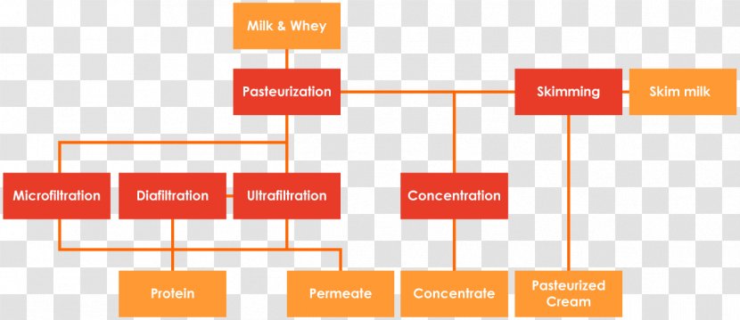 Skimmed Milk Cream Whey Ultrafiltered - Raw Material Transparent PNG