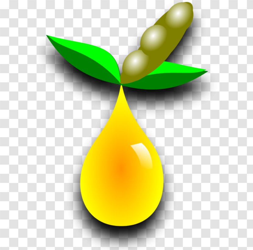 Biofuel Biodiesel Clip Art - Fruit - Garden Tool Transparent PNG