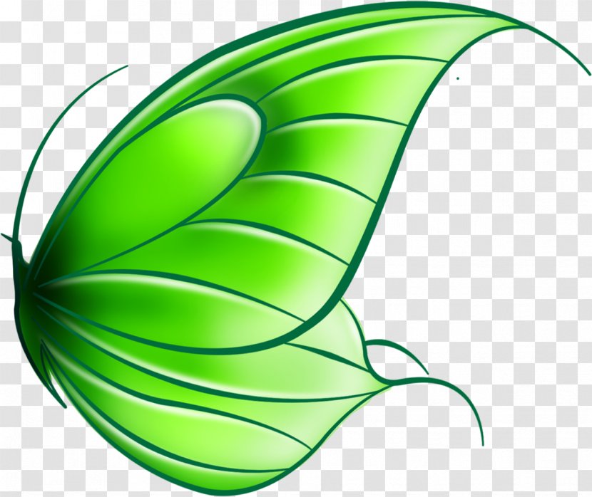 Butterfly Drawing Art Clip - Organism Transparent PNG