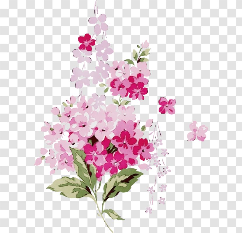 Water Paint Flowers - Impatiens - Dianthus Daphne Transparent PNG