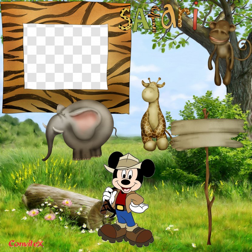 Mickey Mouse Minnie Safari Picture Frames - Ecosystem Transparent PNG