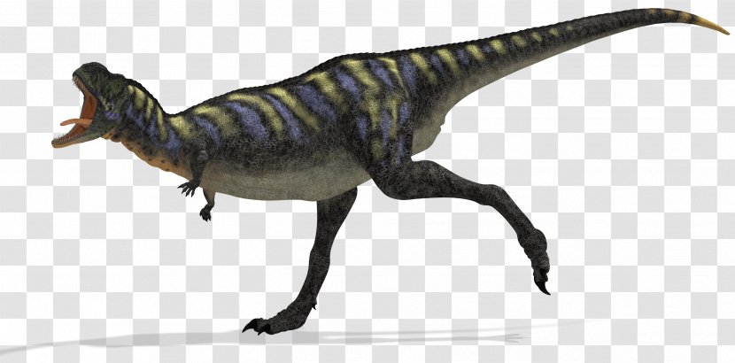 Aucasaurus Tarascosaurus Abelisaur Giganotosaurus Dinosaur - Tyrannosaurus Transparent PNG