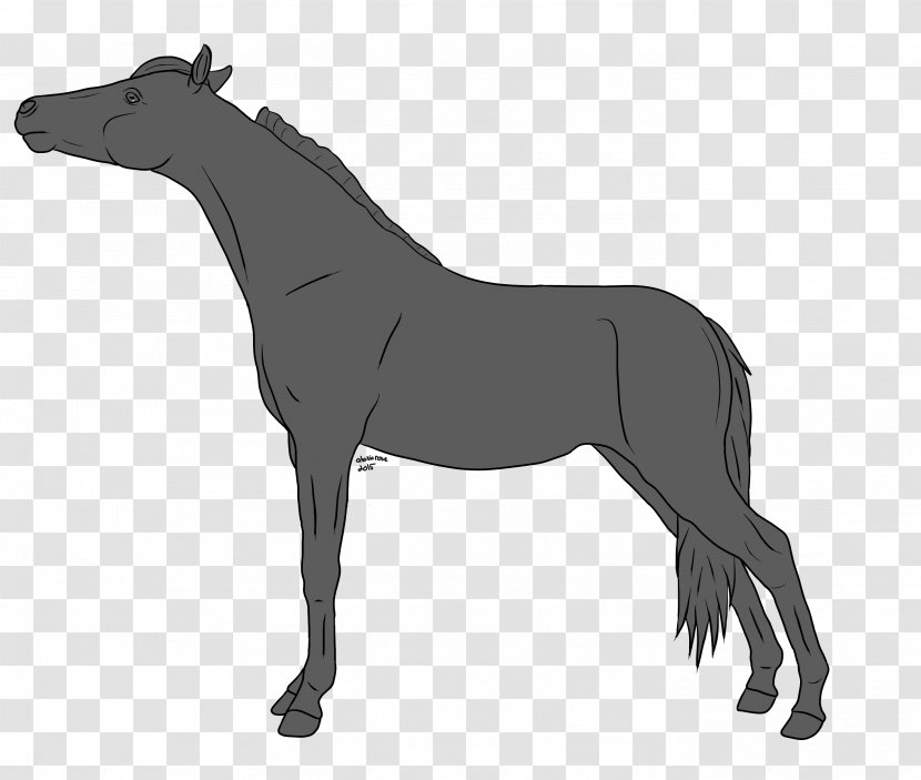 Horse Pony Stallion Foal Line Art - Warmblood Transparent PNG