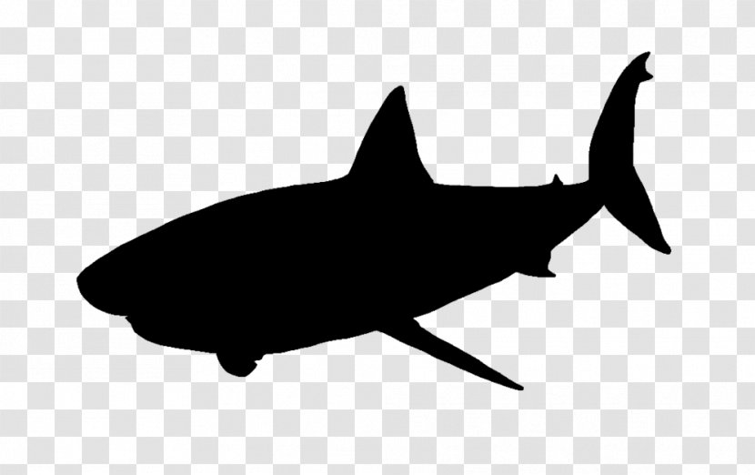 Great White Shark Clip Art - Tail - Wall Silhouette Transparent PNG