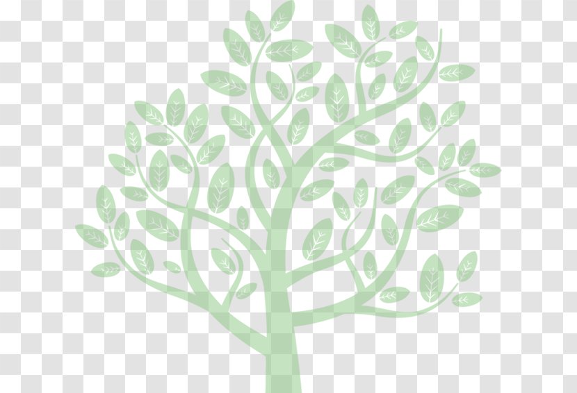 Branch Tree Root Leaf - Floral Design Transparent PNG