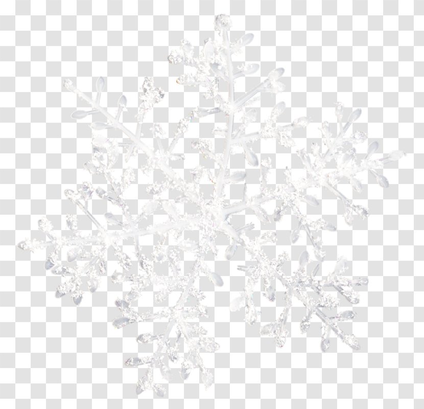 Snowflake Schema White Transparent PNG