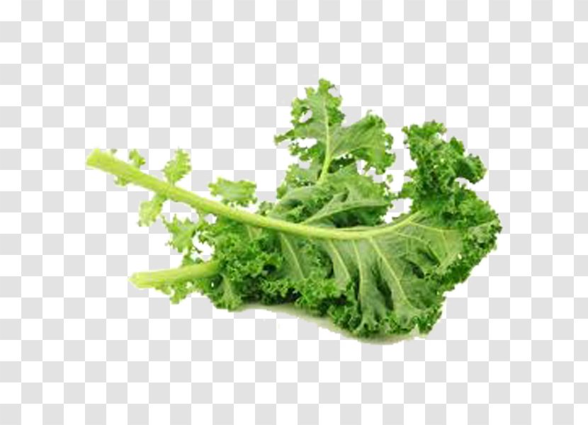 Kale Leaf Vegetable Stamppot - Parsley Transparent PNG
