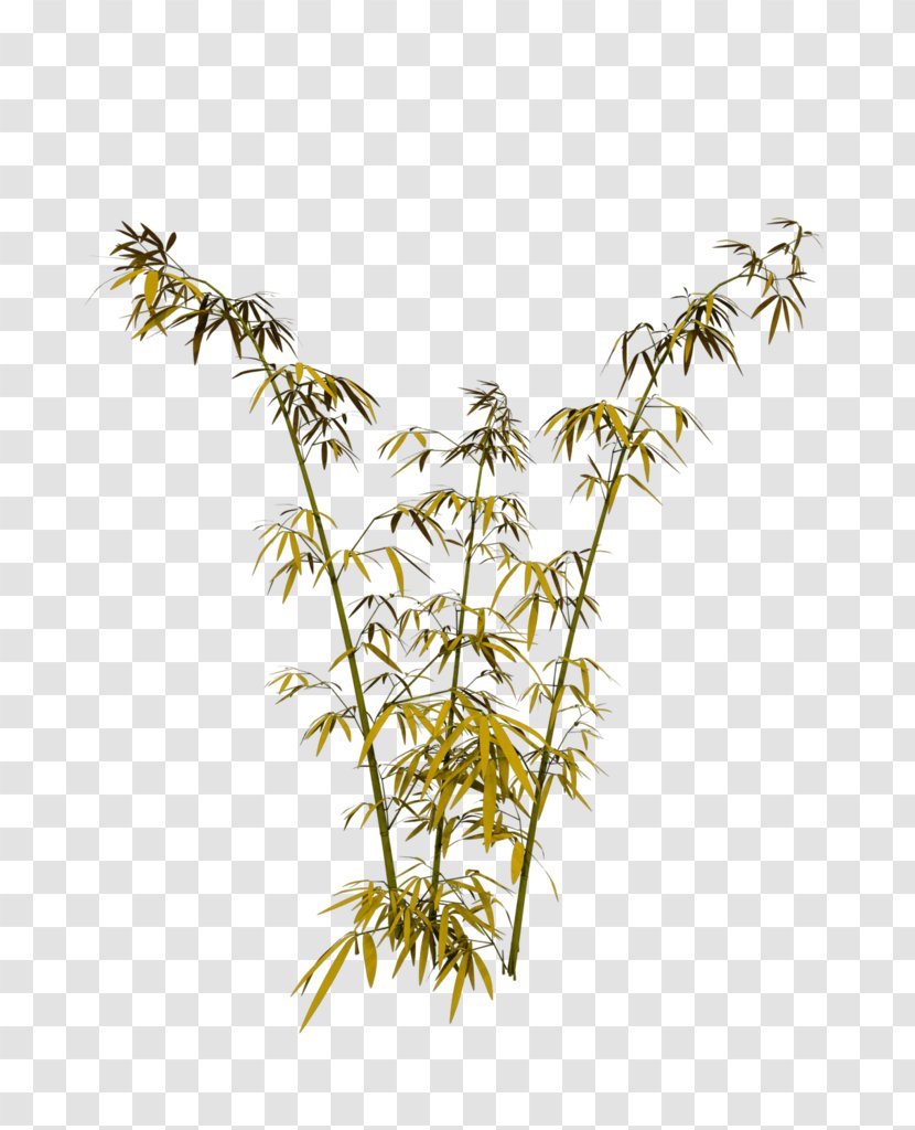 Bamboo Download - Plant Stem - Yellow Simple Decorative Pattern Transparent PNG