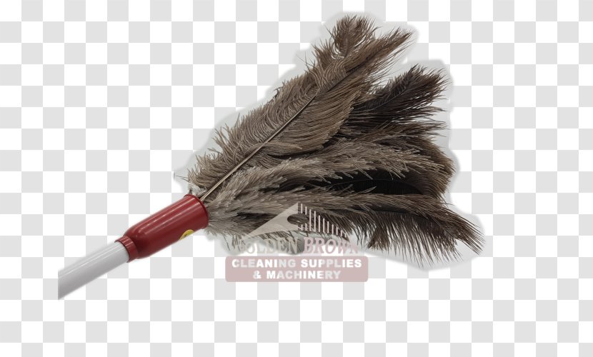 Feather Duster Cleaning Common Ostrich Mop Transparent PNG