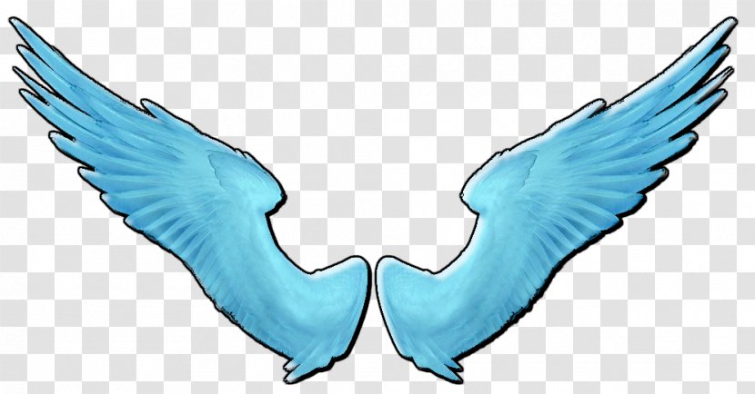 Shane Gray Clip Art - Shoe - Angel Wing Transparent PNG