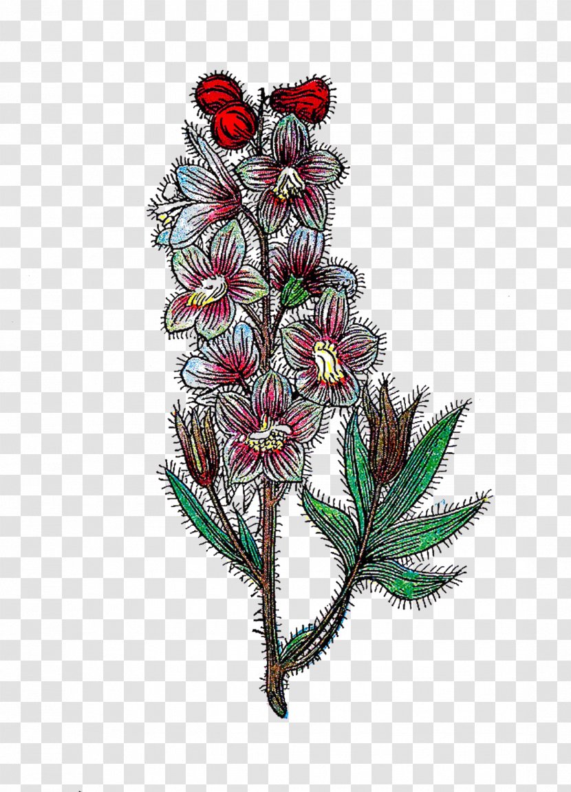 Herb Clip Art - Flowering Plant - Herbs Transparent PNG