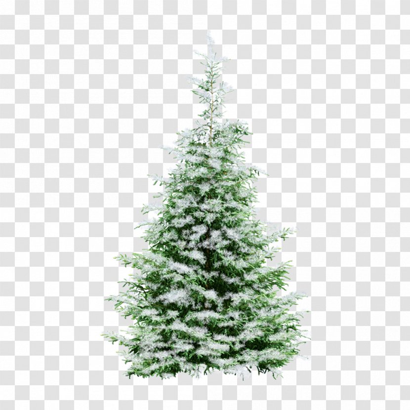 New Year Tree Christmas Animation - Pine - Fir-tree Transparent PNG