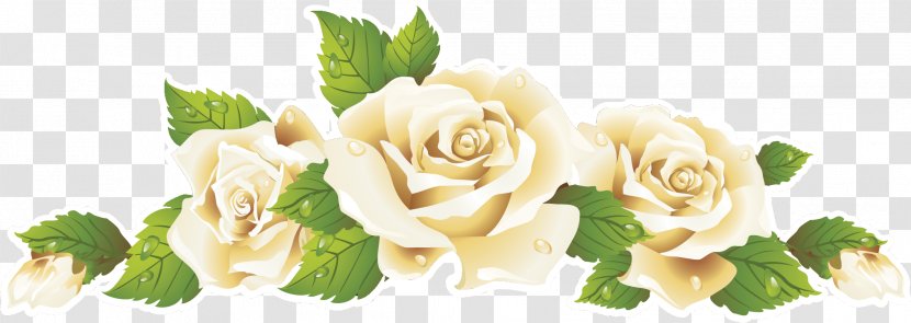 Garden Roses Cut Flowers Rosa × Alba Clip Art - Floristry - Flower Transparent PNG
