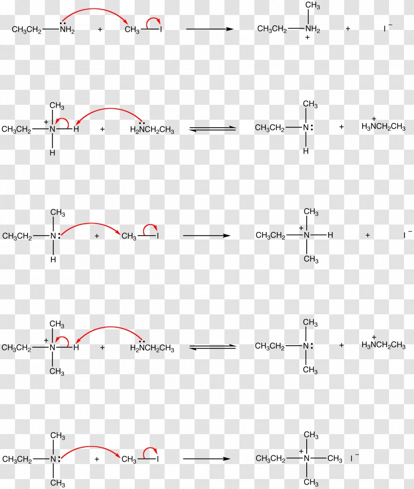 Hofmann Elimination E1cB-elimination Reaction Rearrangement - Text Transparent PNG