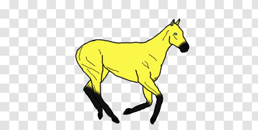 Mule Foal Mustang Stallion Donkey - Wolf Spirit Transparent PNG